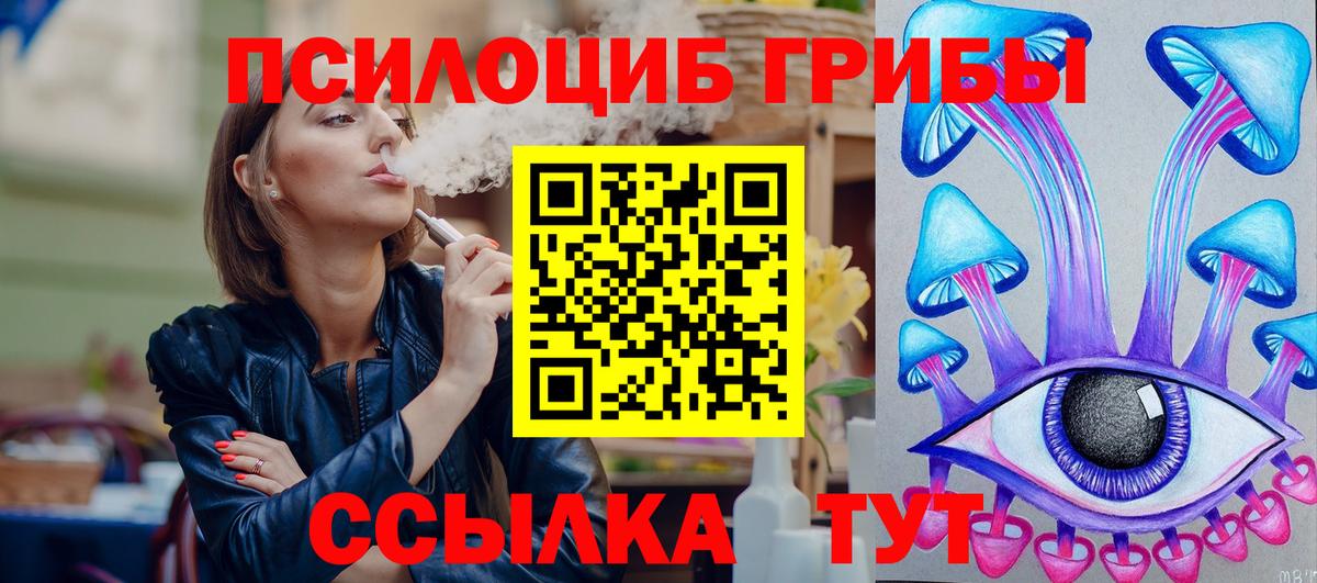 Псилоцибиновые грибы мицелий Южно-Сахалинск